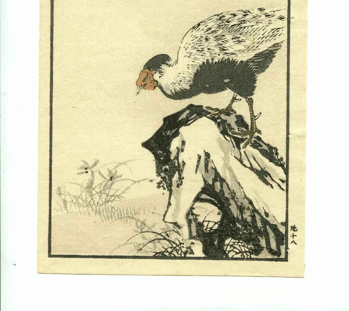 Antique Japanese Floral Woodprint Flowers, Bird, Turkey c. 1890 Art Print Ukiyo image 6