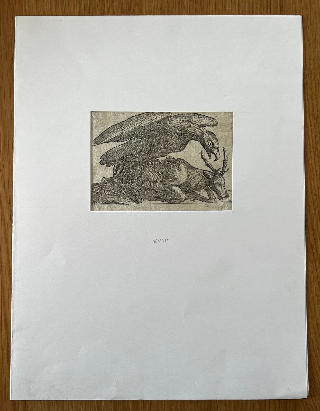 Antique Original Etching 17th century engraving, Eagle and Dear image 3