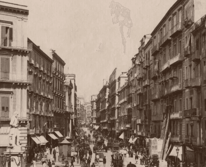 Vintage Photographs Landscape Naples, Italy, via Roma gia Toledo circa 1900 image 4