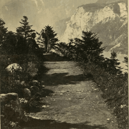 CDV Vintage Photographs Ad BRAUN - Landscape Switzerland Grutli c.1870 image 6