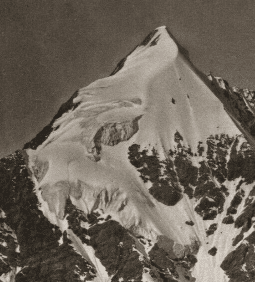 Vintage Photographs Die Konigsspitze vom Eisseepass, 1896 image 2