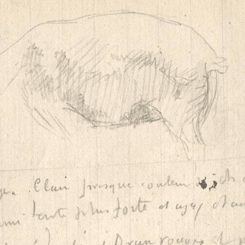 Vintage Pencil Original Drawing Text, Pig, Animals Sketch image 5