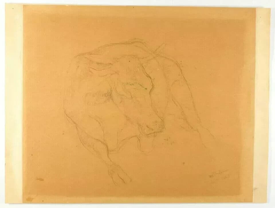 Antique Pencil Drawing Original 19th signed 1883 Cow, Animal image 5