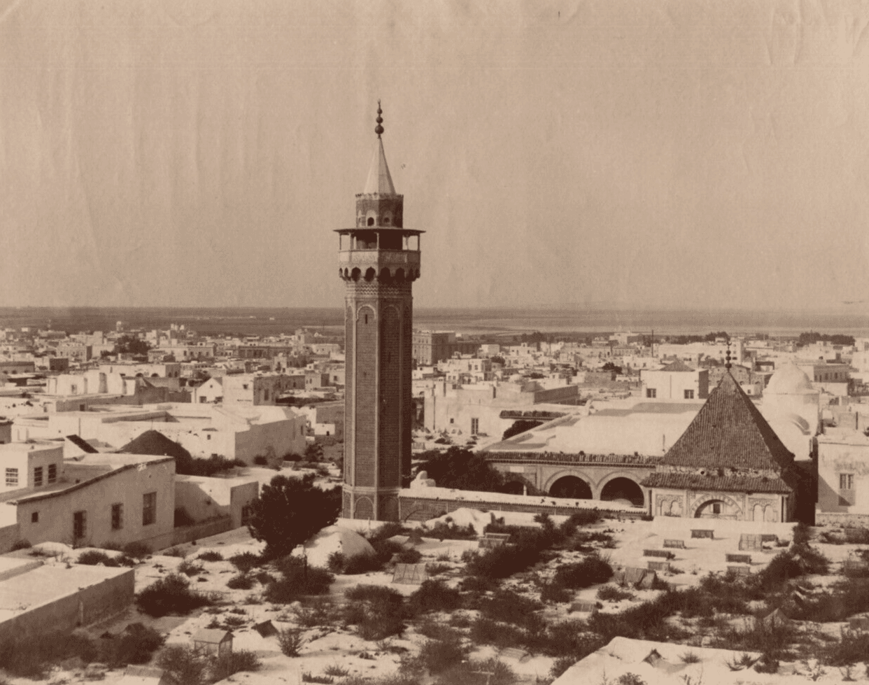 Vintage Photographs Africa, Orientalism, Cityview