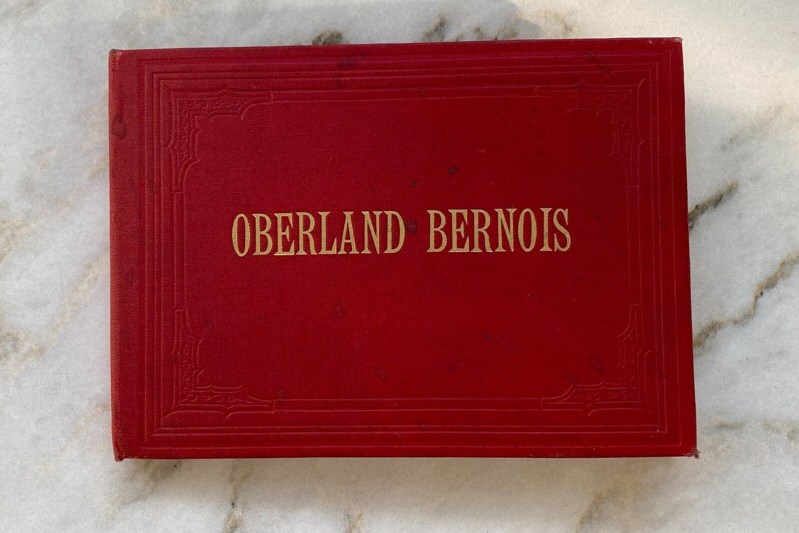 Vintage Photographs Antique Album Oberland Bernois, albumen prints c 1870 image 7