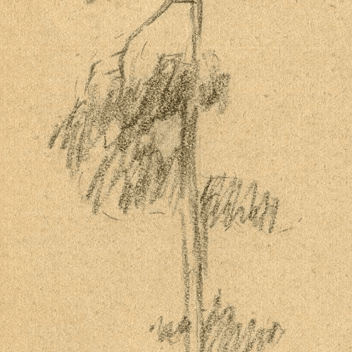 Vintage Pencil Original Drawing Tree, Forest, Landscape signed 1935 image 3