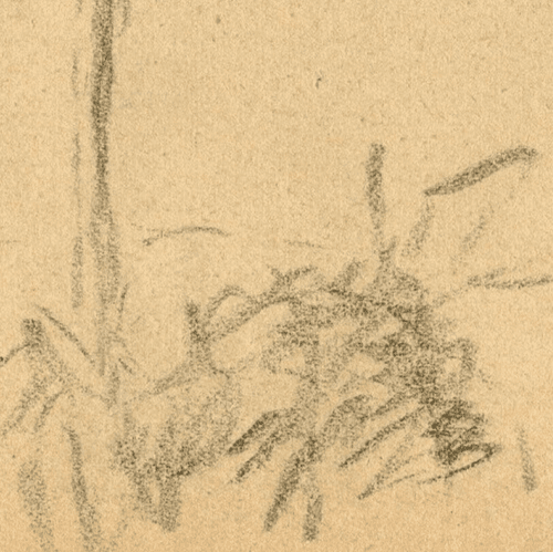 Vintage Pencil Original Drawing Tree, Forest, Landscape signed 1935 image 4