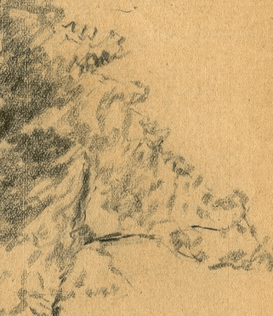 Antique Original Pencil Drawing Tree, Vegetation, Landscape, Leaves c. 1900 image 3
