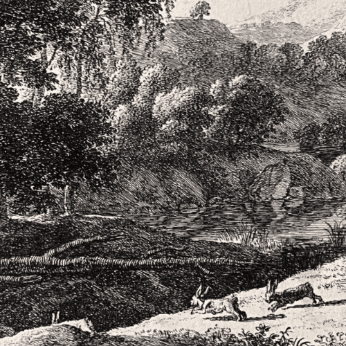 Antique Original Etching Venus Adonis Hunting, Herman Van Swanevelt (1603-1655) image 2
