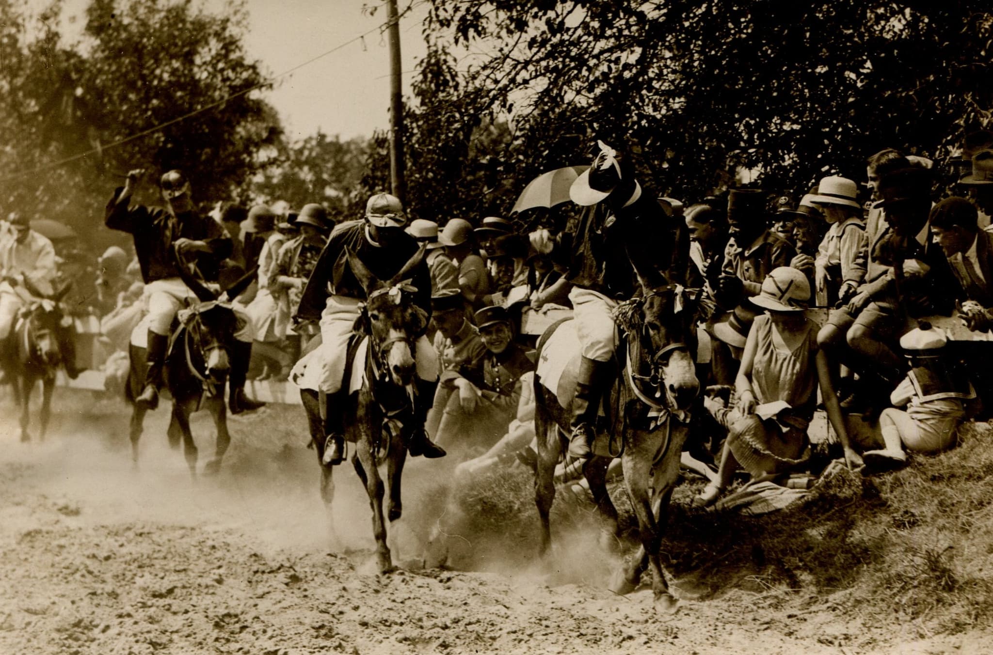 Donkey Race Vintage Original Photography image 1