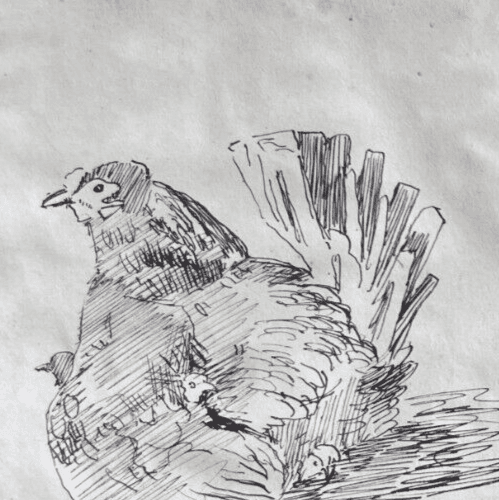 Antique Original Drawing Landscape, Chicken, Woman, Portrait 19th century image 5