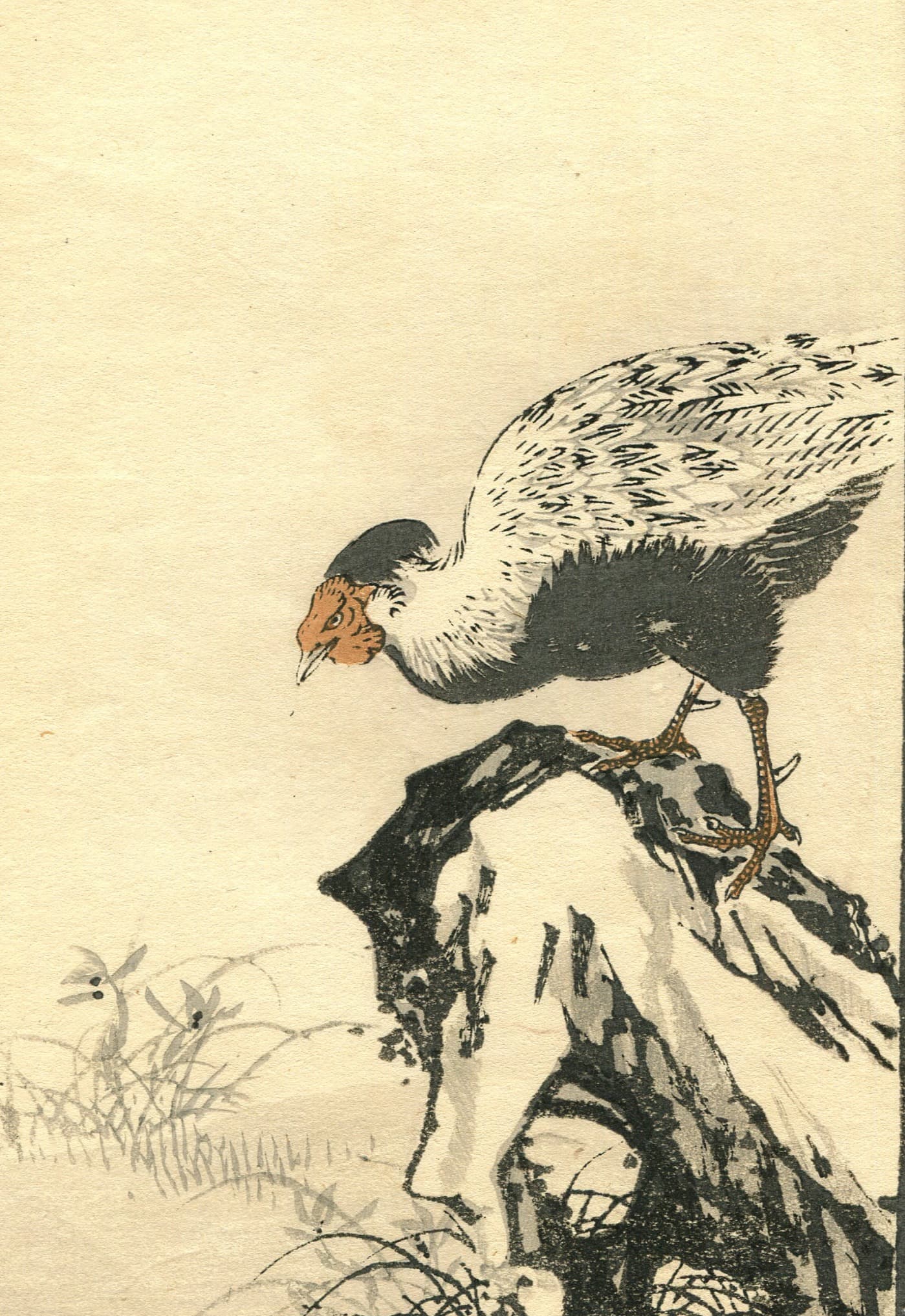 Wild Turkey Japanese Ukiyo-e Print c. 1890 image 1