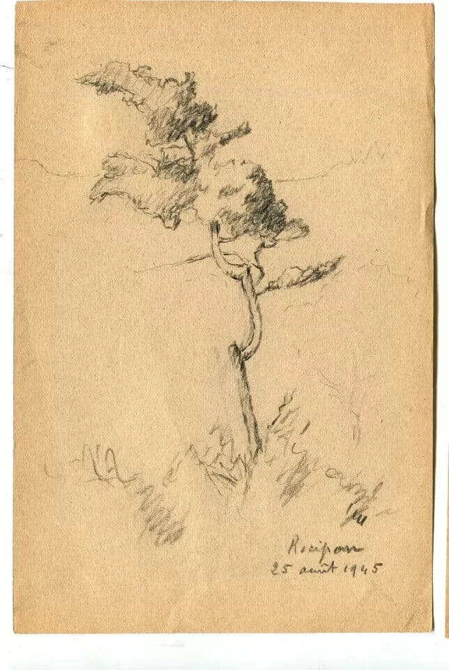Vintage Pencil Original Drawing signed Tree Landscape Recipon 1945 image 6