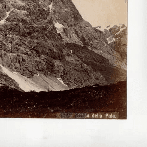 Vintage Photographs Cimon della Pala, Wurtilo Sohn 1900 image 3