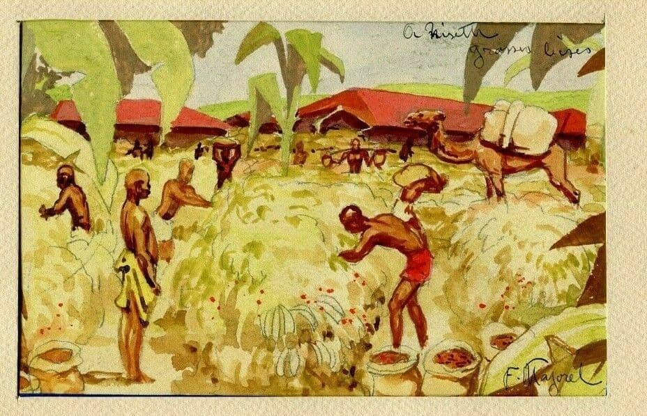 Fernand MAJOREL Fields, Africa, Banana Drawing image 1