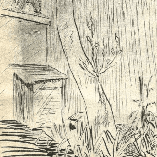 Vintage Ink Original Drawing Garden Landscape, Vegetation image 3