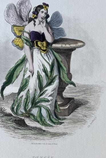 Antique Botanical Costume Illustration "Pensée" Pansy-Inspired Dress 19th image 7