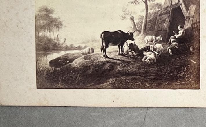 Antique CDV Photographs - Landscapes, Ruins & Natural Disasters Set 5 image 5