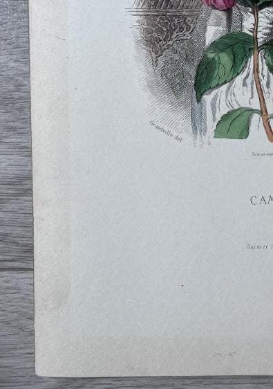 Elegant Floral Personification Camellia by Jean Ignace Isidore GRANDVILLE image 5
