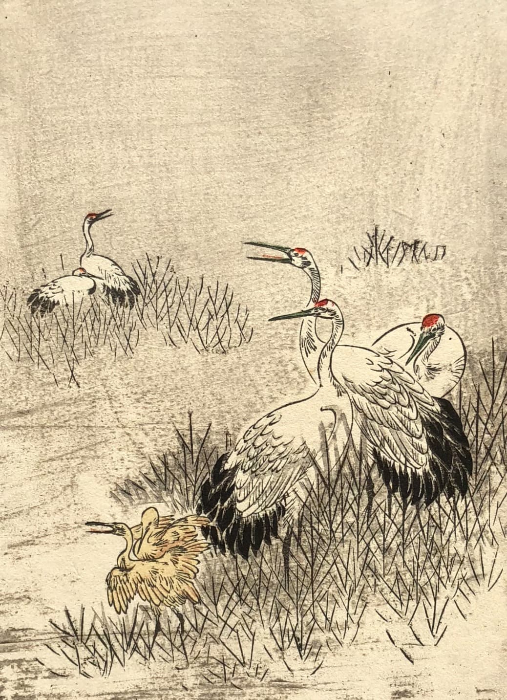 Red-crowned Cranes Ukiyo-e Print c. 1890