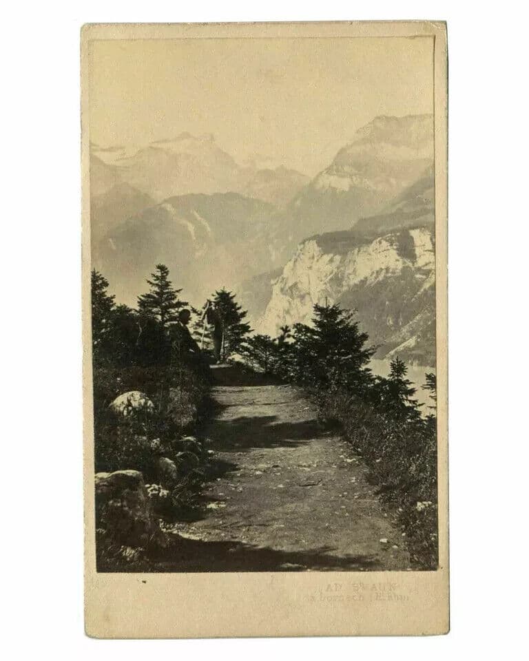 CDV Vintage Photographs Ad BRAUN - Landscape Switzerland Grutli c.1870 image 3