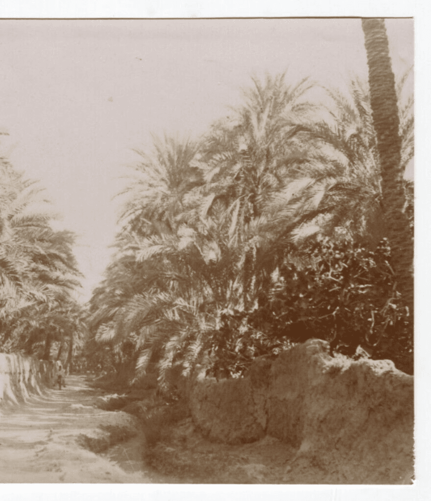 Vintage Photographs Orientalism, Africa, Algeria, Constantine Landscape image 6