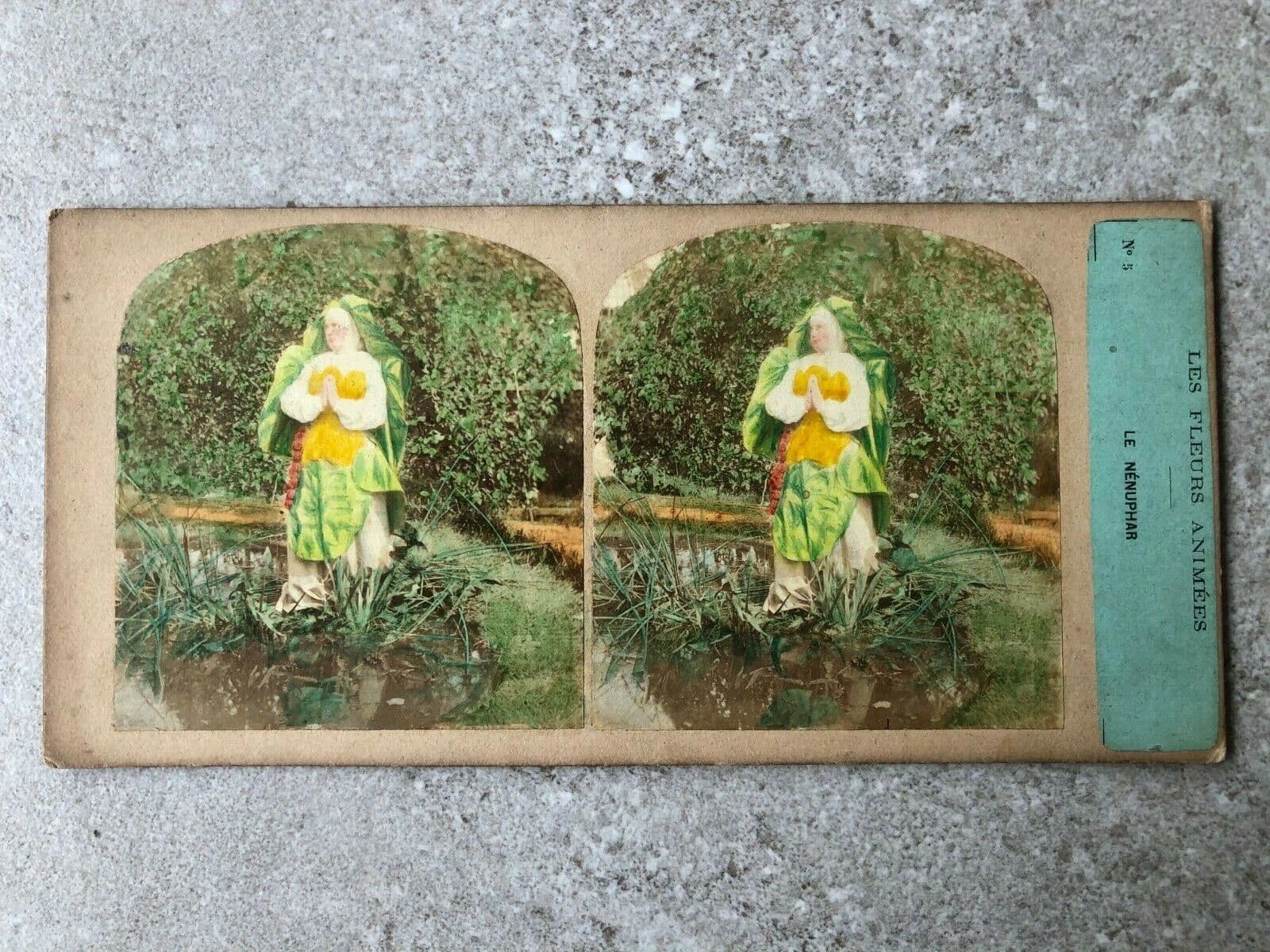 Vintage Stereoview Figures and Flowers, Furne & Tournier, Albumen c.1860 x9 image 9