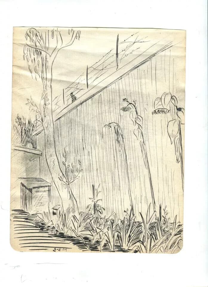 Vintage Ink Original Drawing Garden Landscape, Vegetation image 7