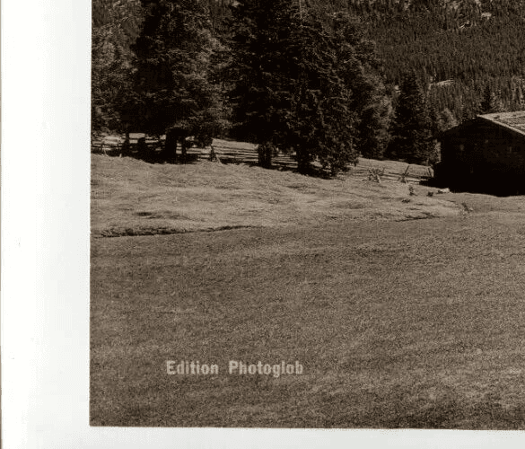 Vintage Photographs Edition Photoglob, Langkoflgruppe image 2