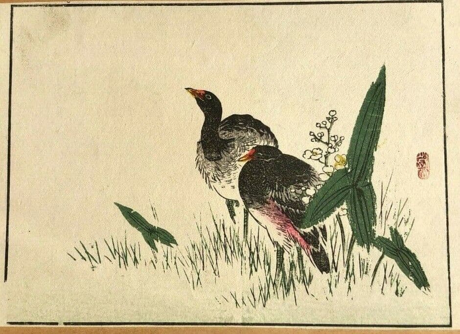 Antique Japanese Flowers WoodPrint Birds c. 1890 Asian Art Print Ukiyo-e Floral image 1