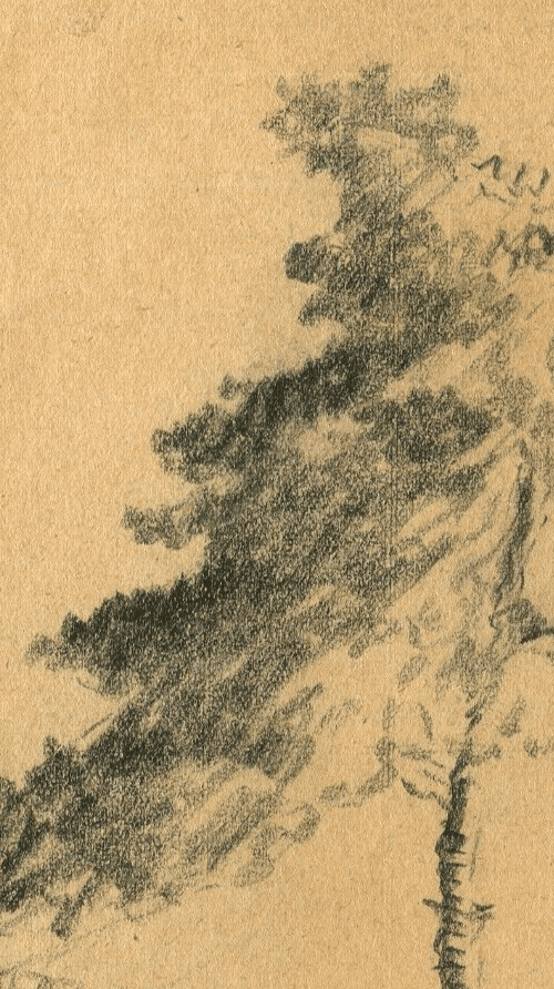 Antique Original Pencil Drawing Tree, Vegetation, Landscape, Leaves c. 1900 image 4