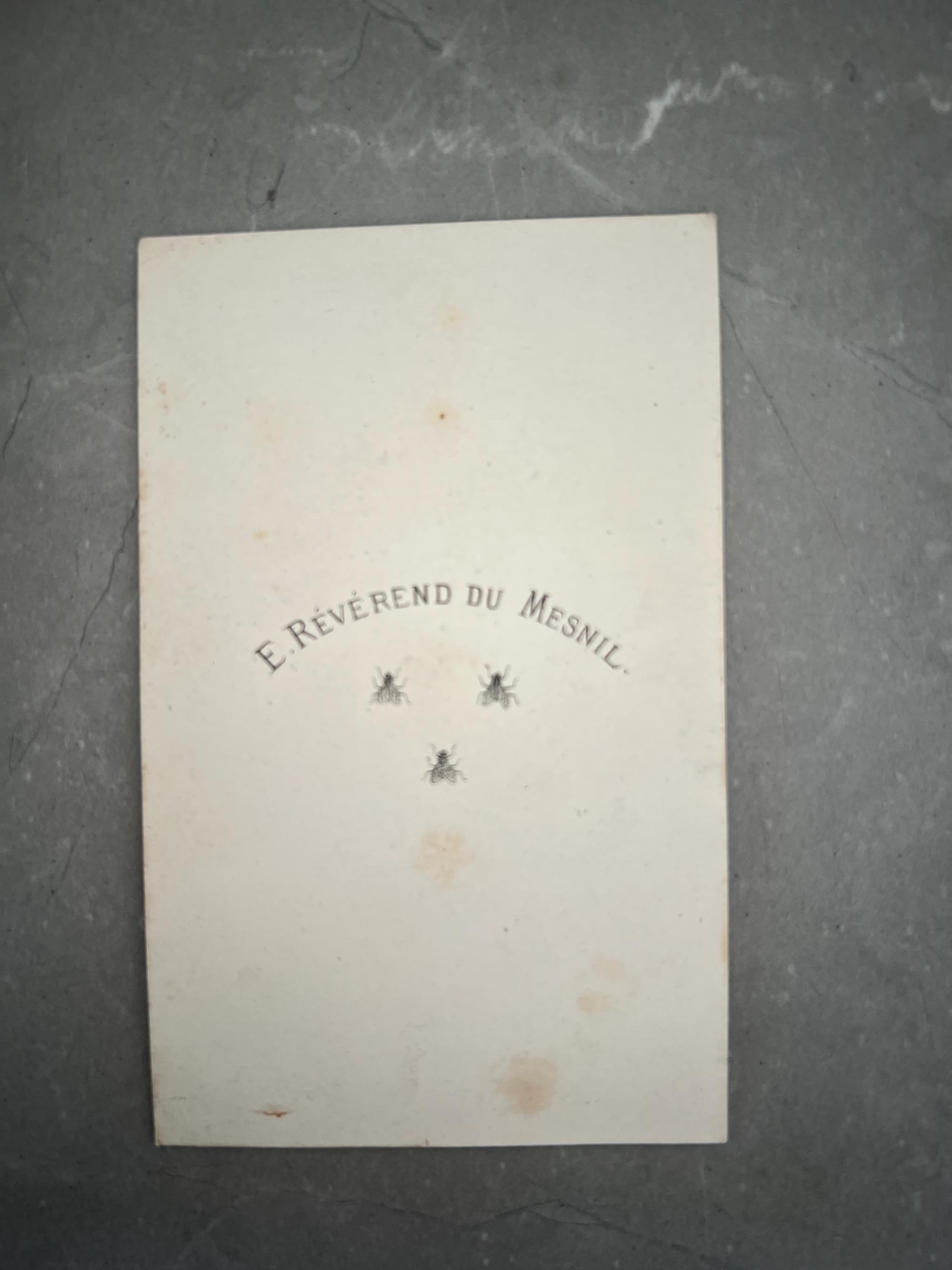 Antique Caricature Carte de Visite – 19th Century Violinist Portrait – E. image 2