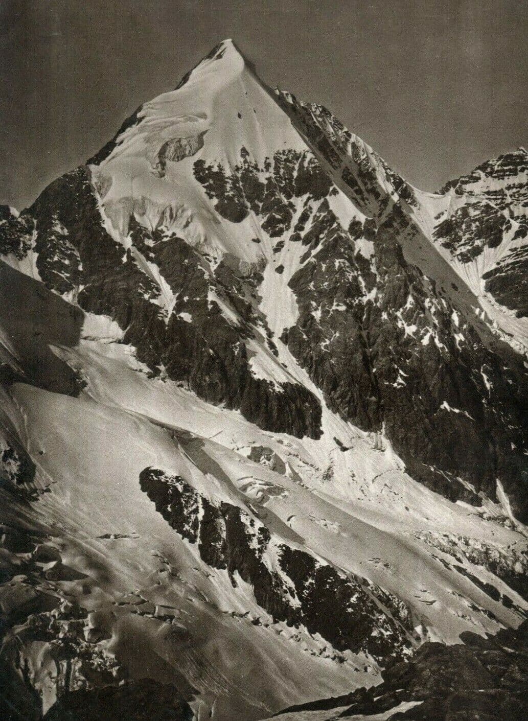 Vintage Photographs Die Konigsspitze vom Eisseepass, 1896 image 1