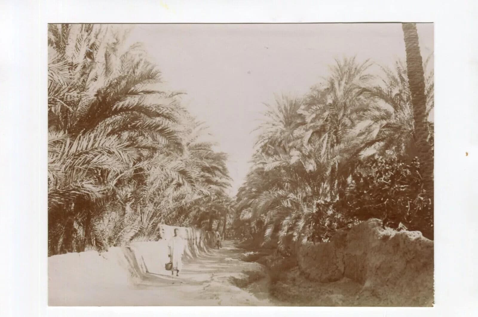 Vintage Photographs Orientalism, Africa, Algeria, Constantine Landscape image 5