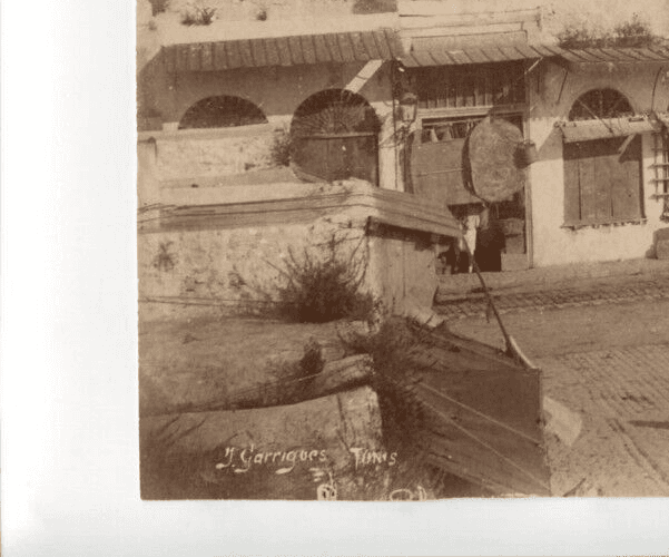 Vintage Photographs Africa, Orientalism,  Tunis, Place Bab-Souika image 2