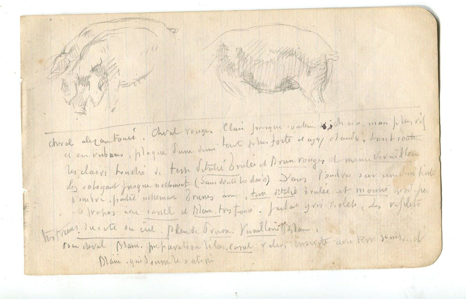Vintage Pencil Original Drawing Text, Pig, Animals Sketch image 4