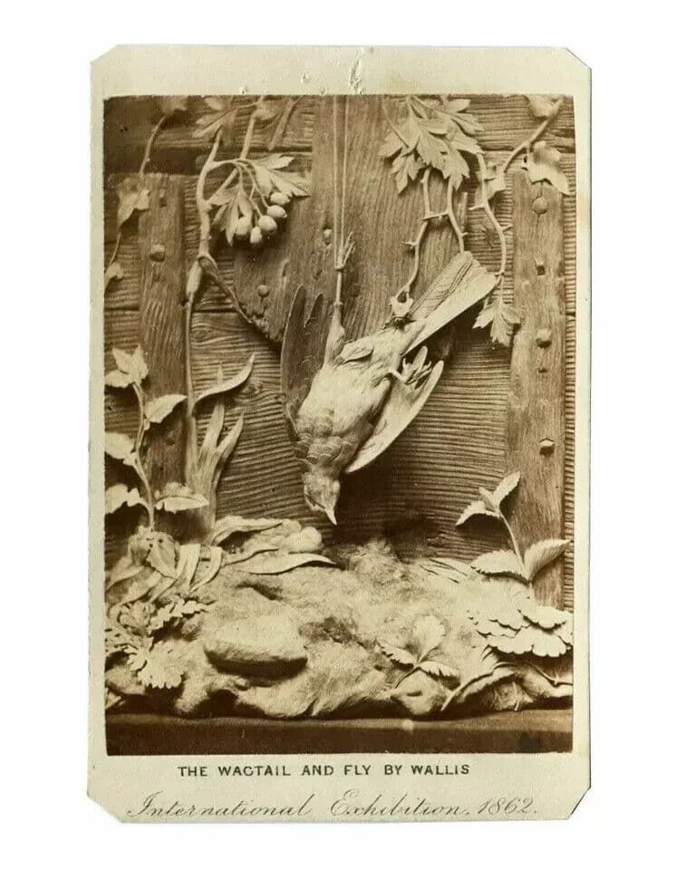 CDV Photograph - LONDON STEREOSCOPIC - International Exhibition, Still life 1862 image 7