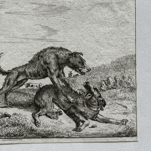 Antique Engraving Original Adriaen Van de Velde (1636-1672) Dogs Fighting image 3