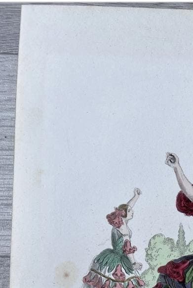 Romantic Vintage Botanical Illustration Pomegranate by Jean Ignace Isidore image 6
