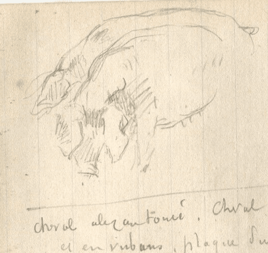 Vintage Pencil Original Drawing Text, Pig, Animals Sketch image 3