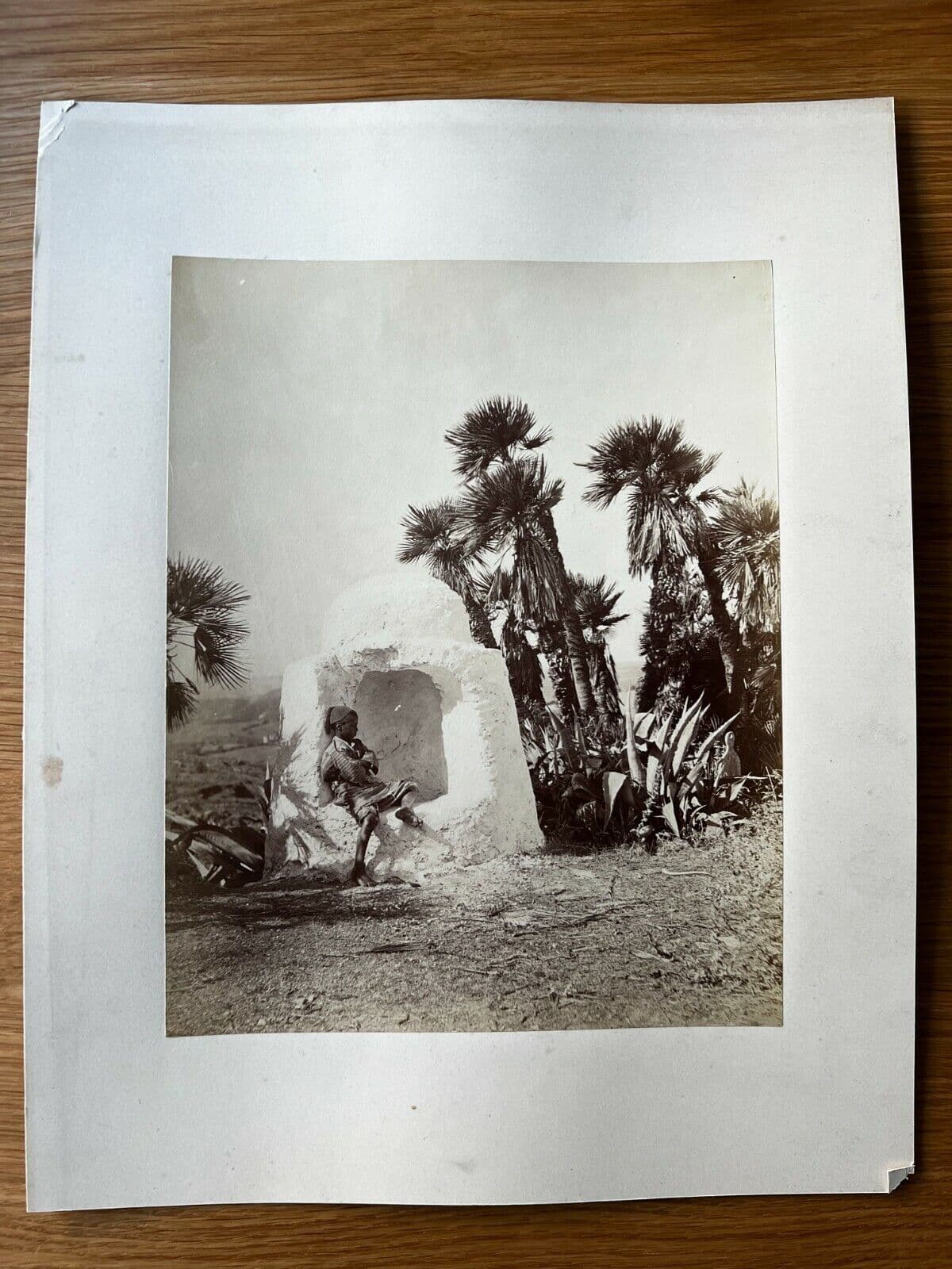 Photographs Albumen, Algeria Young Boy c. 1870 image 2