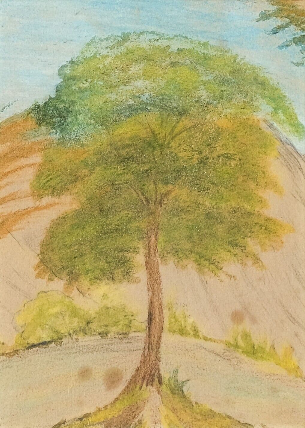 Antique Drawing Original Tree, Meadow, Landscape Artwork