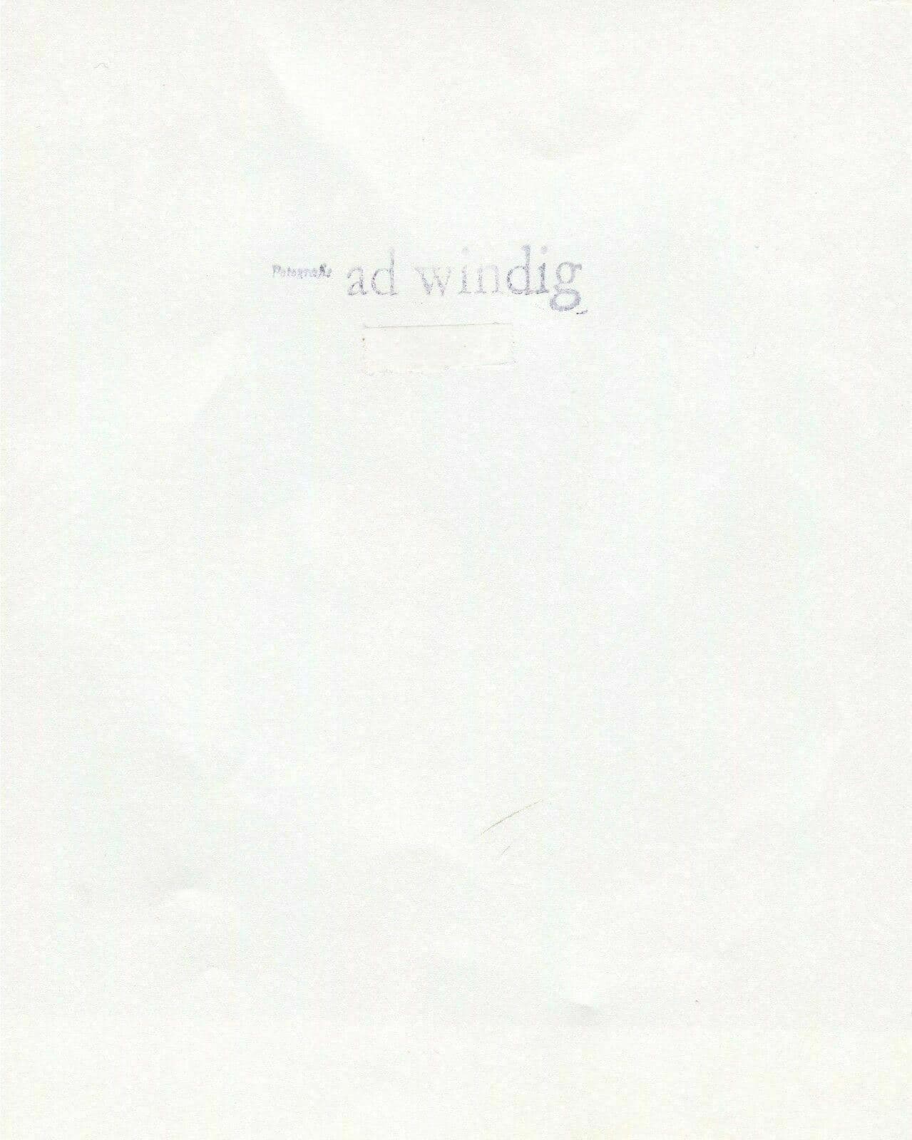 Vintage Photographs AD WINDIG (1912-1996) African Boys c. 1950 image 7