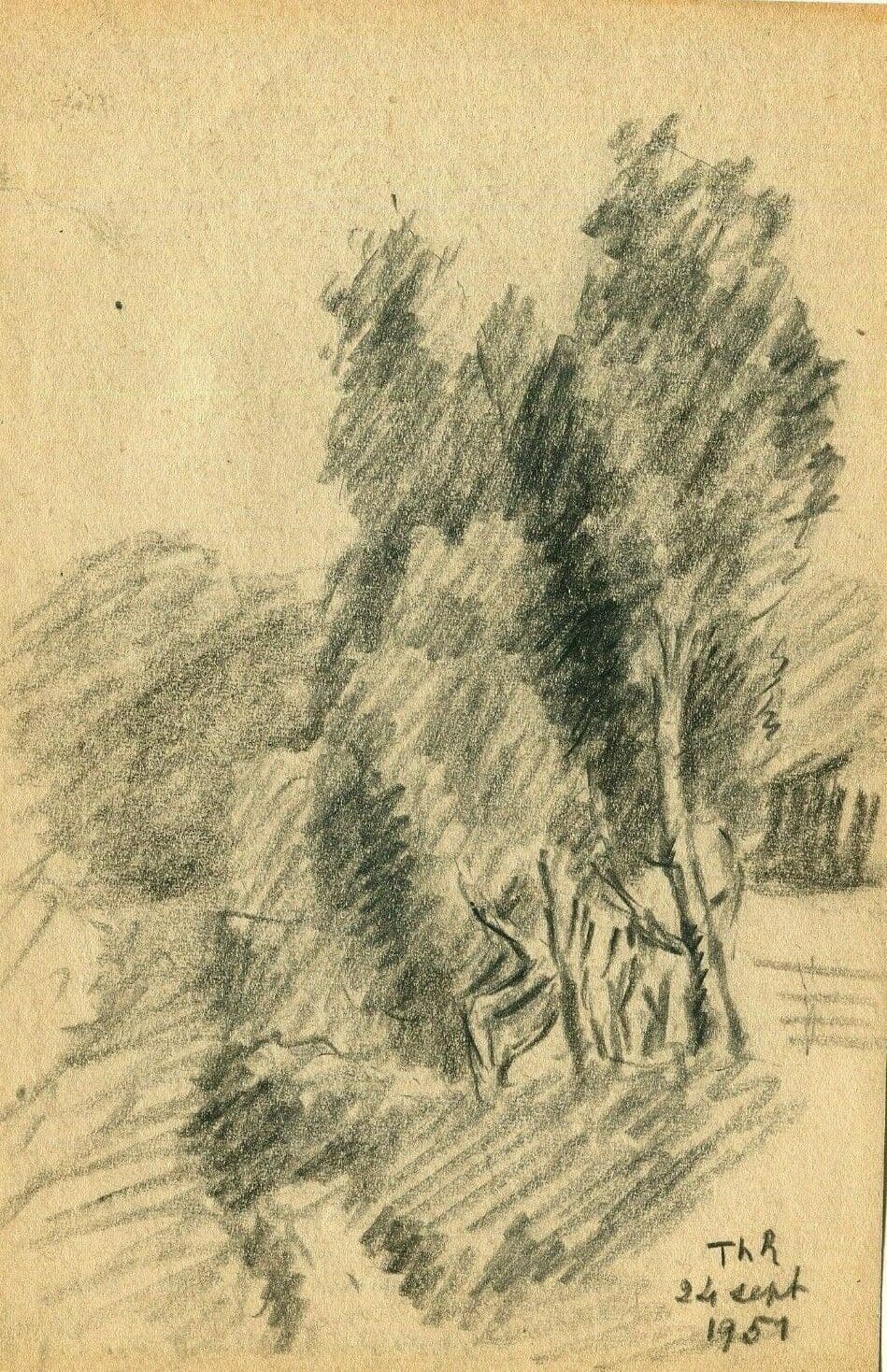 Vintage Pencil Orginal Drawing Trees, Forest signed 1951 Artwork