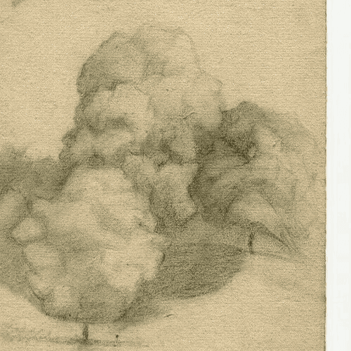 Antique Pencil Drawing 19th century Original Landscape with Trees image 4