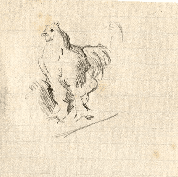 Antique Ink Drawing Original Hen, Animals, Farm
