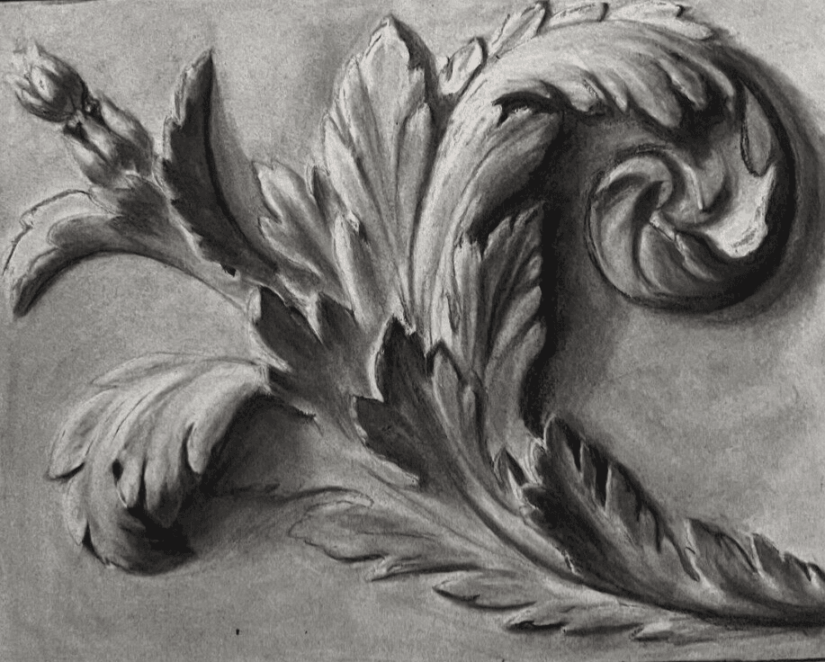 Antique Drawing Charcoal Original Flowers, Floral, Plant Floral