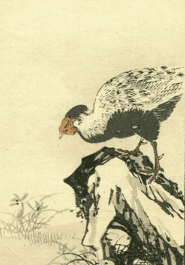 Antique Japanese Floral Woodprint Flowers, Bird, Turkey c. 1890 Art Print Ukiyo