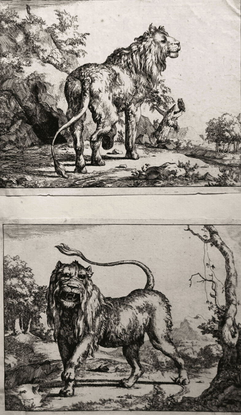 Marcus DE BYE (1638/99-c.1688/1708) Lion Etching image 1