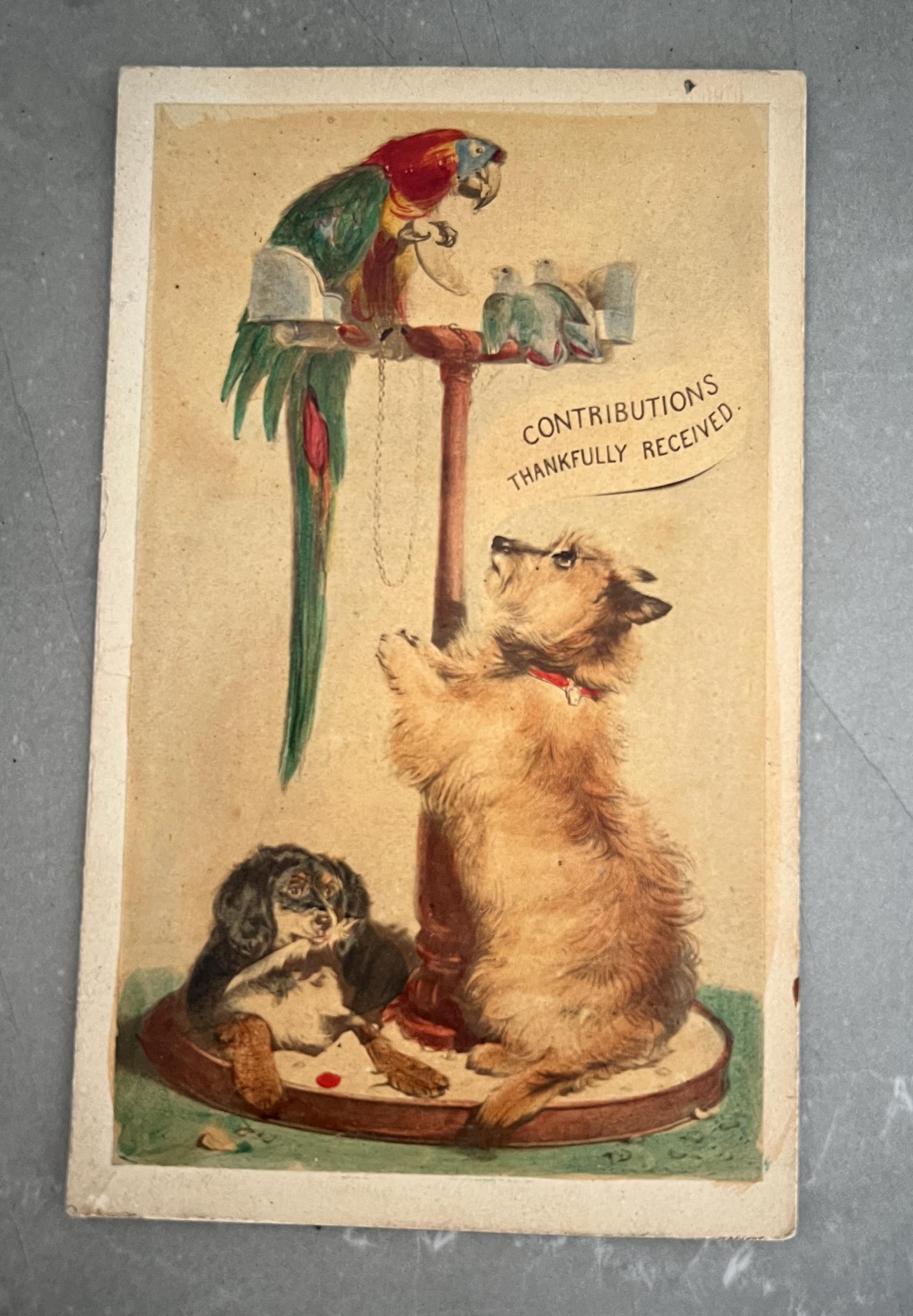 Antique Illustrated CDV – “Contributions Thankfully Received” – 19th Century image 1